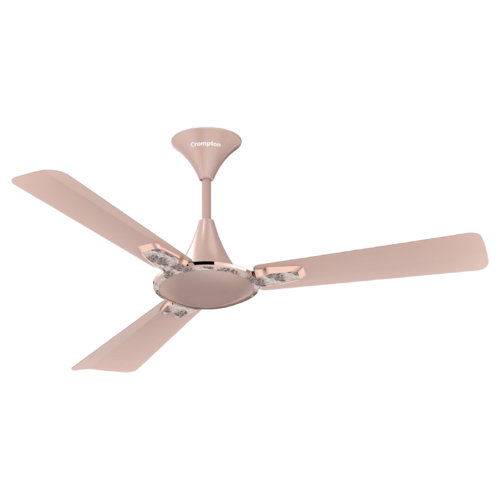 Crompton Premion Aura2 Designer 1 Star 1200mm 3 Blade Copper Motor Ceiling Fan Duratech Technology Rose Gold (Ceiling Fan)