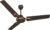 HAVELLS Andria ES 2 Star 1200mm 3 Blade High Speed Ceiling Fan Metallic Finish Espresso Brown (Ceiling Fan)